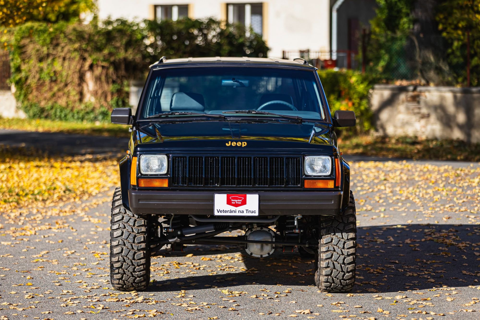 Jeep Cherokee 4.0_19