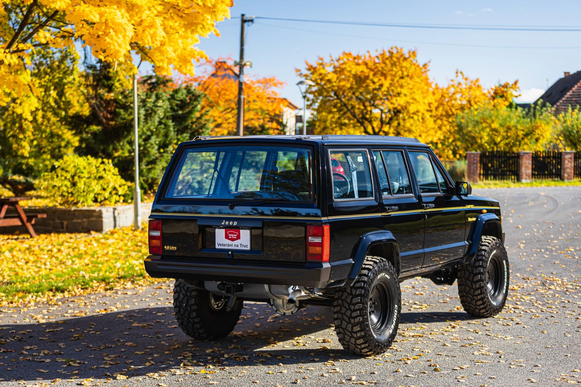 Jeep Cherokee 4.0_21