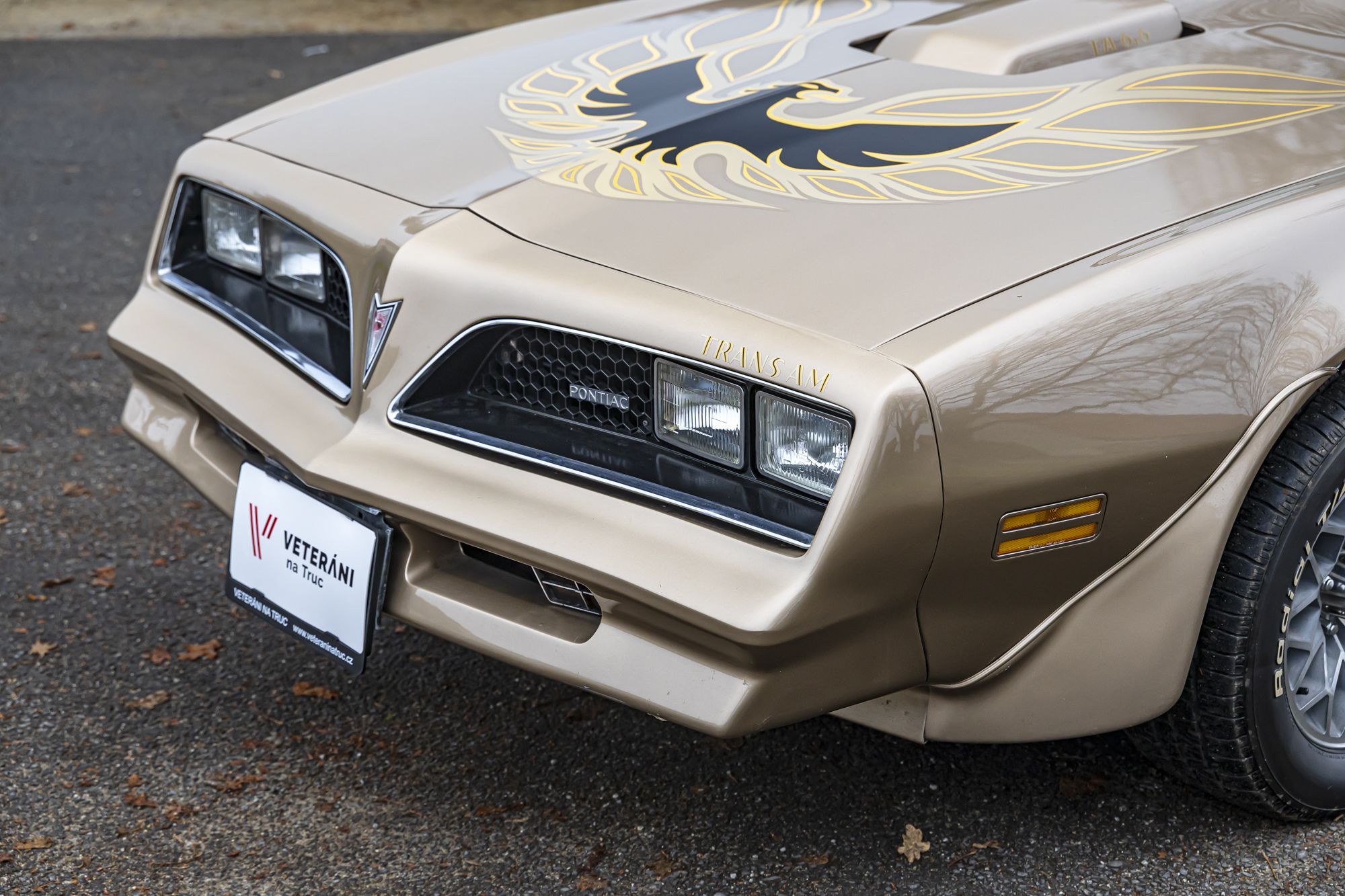 0-2500x0-storage-uploads-media-car-1520-pontiac-trans-am-firebid-6-6-gold-27-8cvg-.jpg
