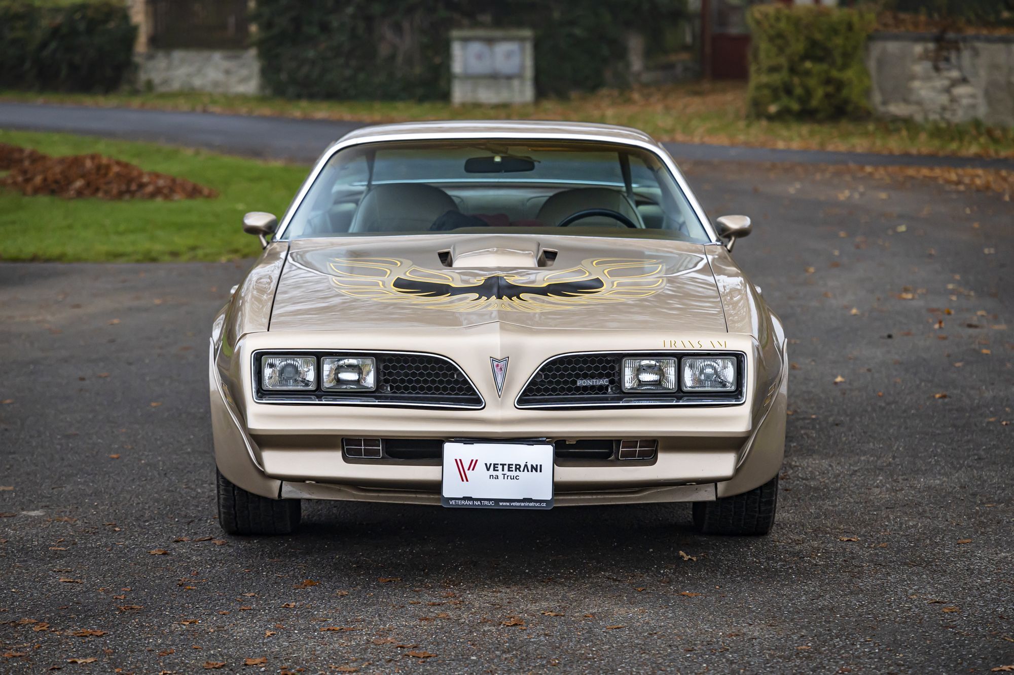 0-2500x0-storage-uploads-media-car-1520-pontiac-trans-am-firebid-6-6-gold-52-cqwp-.jpg