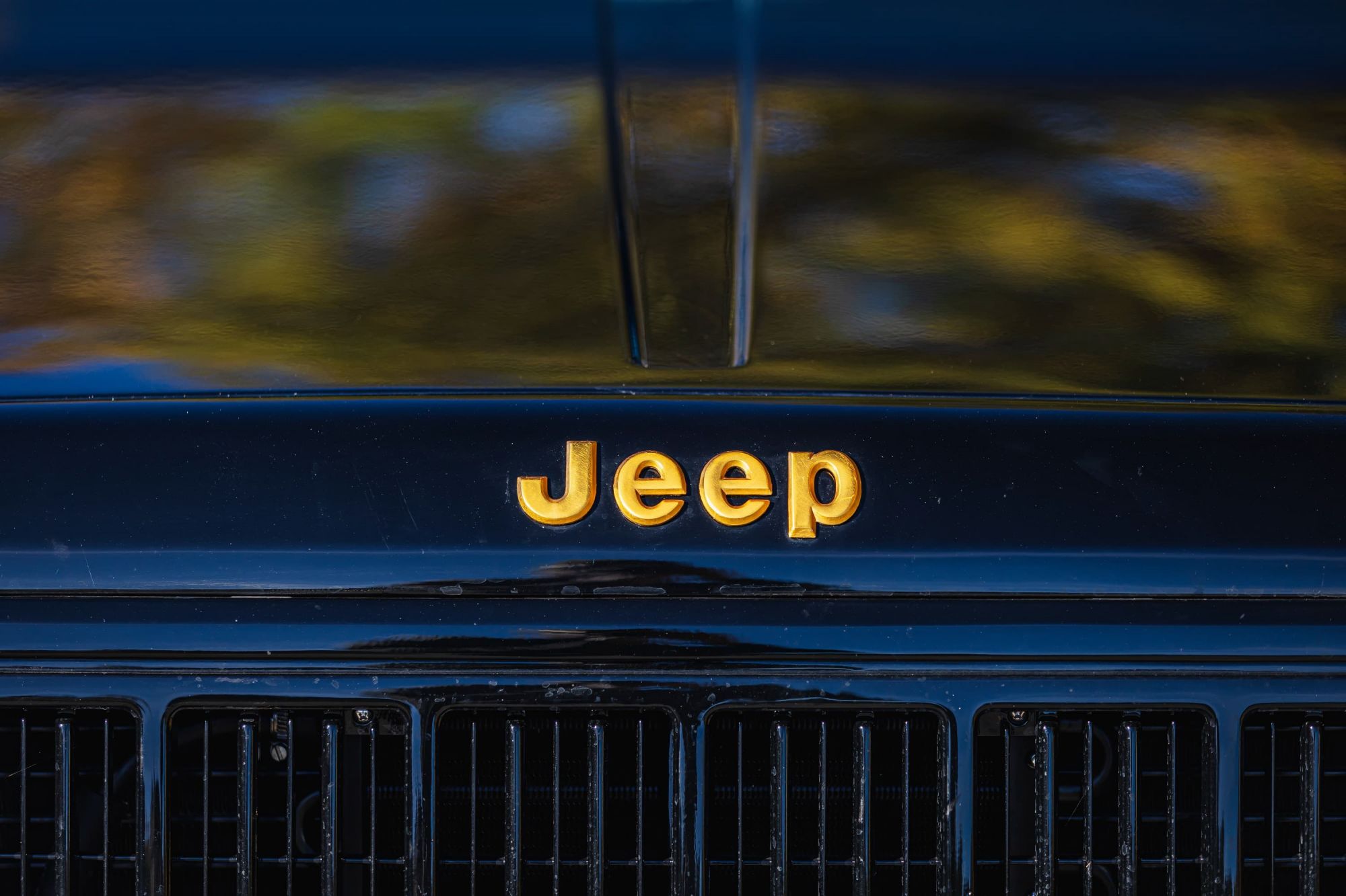 Jeep Cherokee 4.0_28