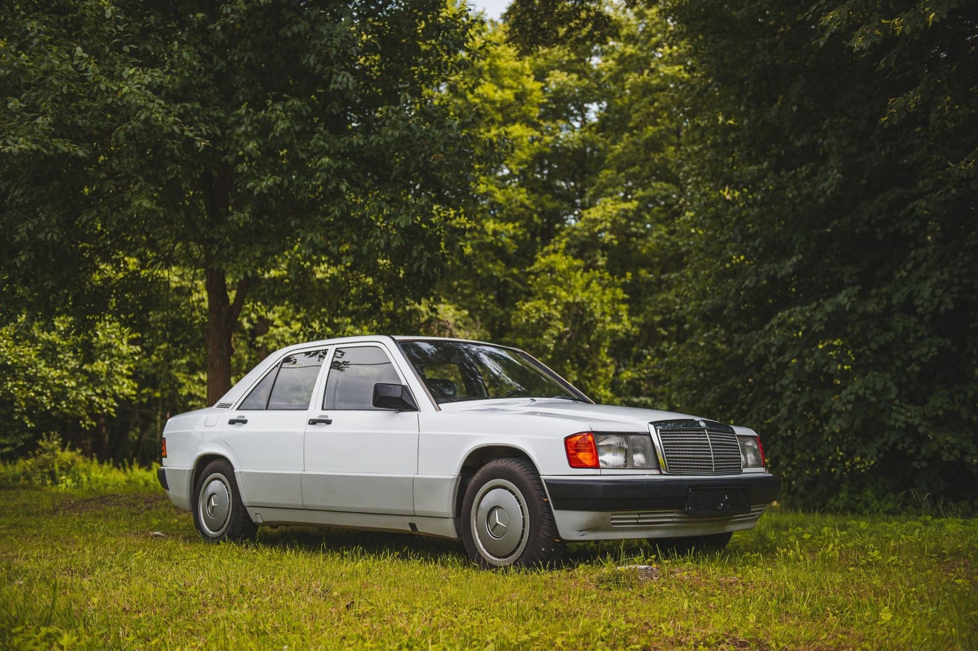1988 Mercedes-Benz 190D (1 owner)