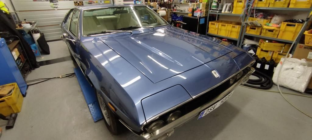 WhatsApp Image 2024-01-17 at 09.34.02 (11)