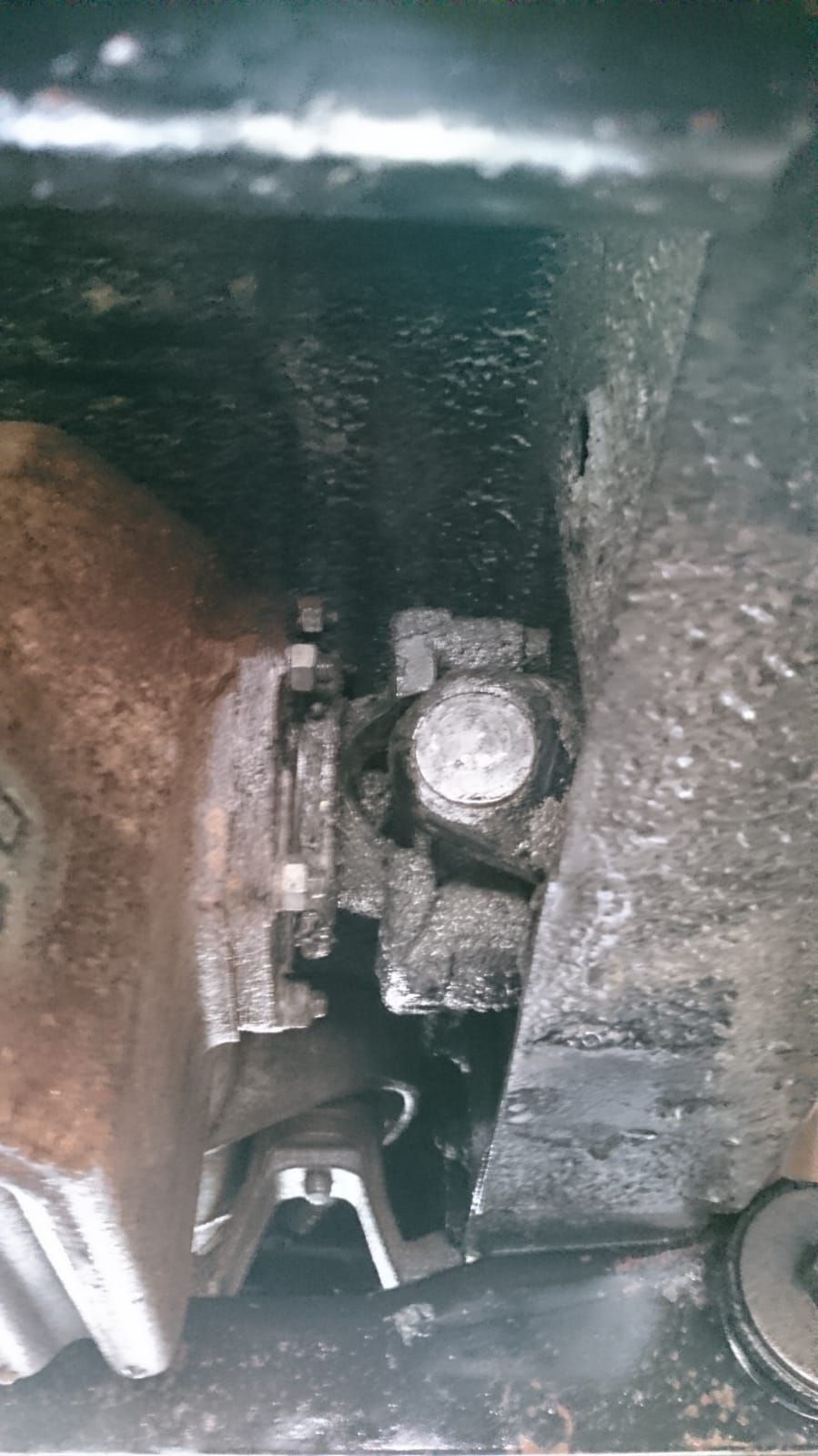 WhatsApp Image 2021-06-09 at 16.46.02