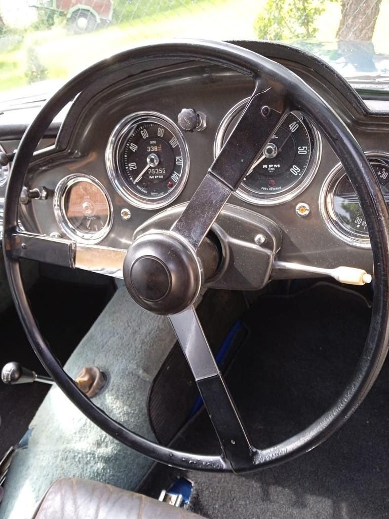 WhatsApp Image 2021-07-27 at 15.48.07 (10)