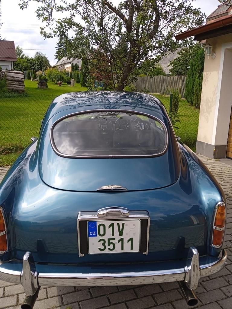 WhatsApp Image 2021-07-27 at 15.48.07 (11)