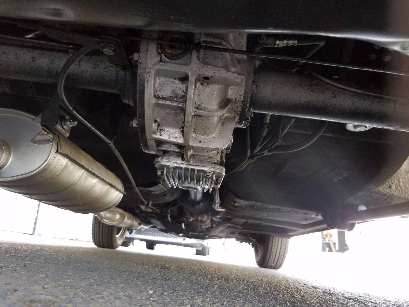 WhatsApp Image 2021-02-24 at 17.08.14 (8)