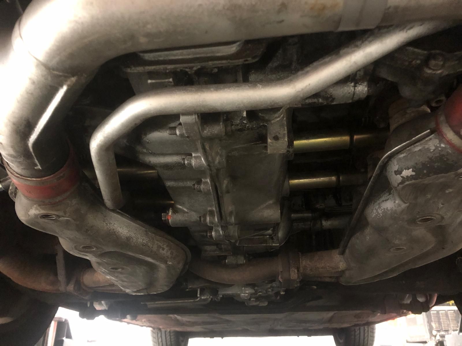 WhatsApp Image 2024-04-29 at 08.18.29 (3)