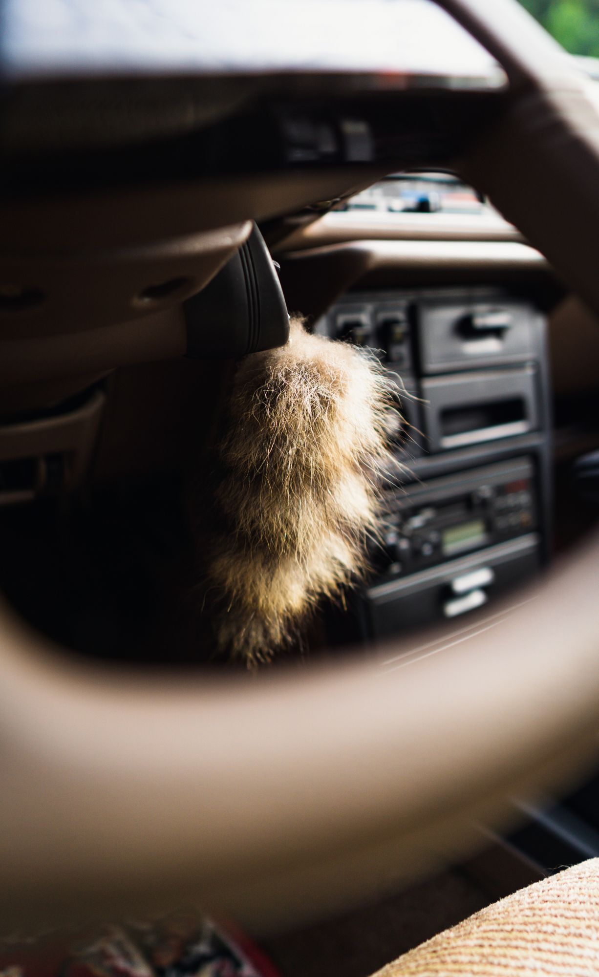 4568F0C3-0A33-4A06-8F0B-44E89B2AAA67