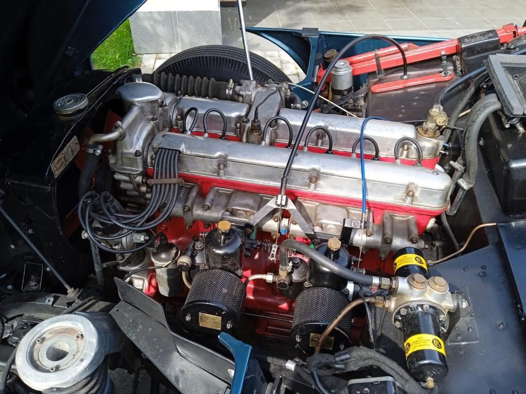 WhatsApp Image 2021-07-27 at 20.14.50 (1)