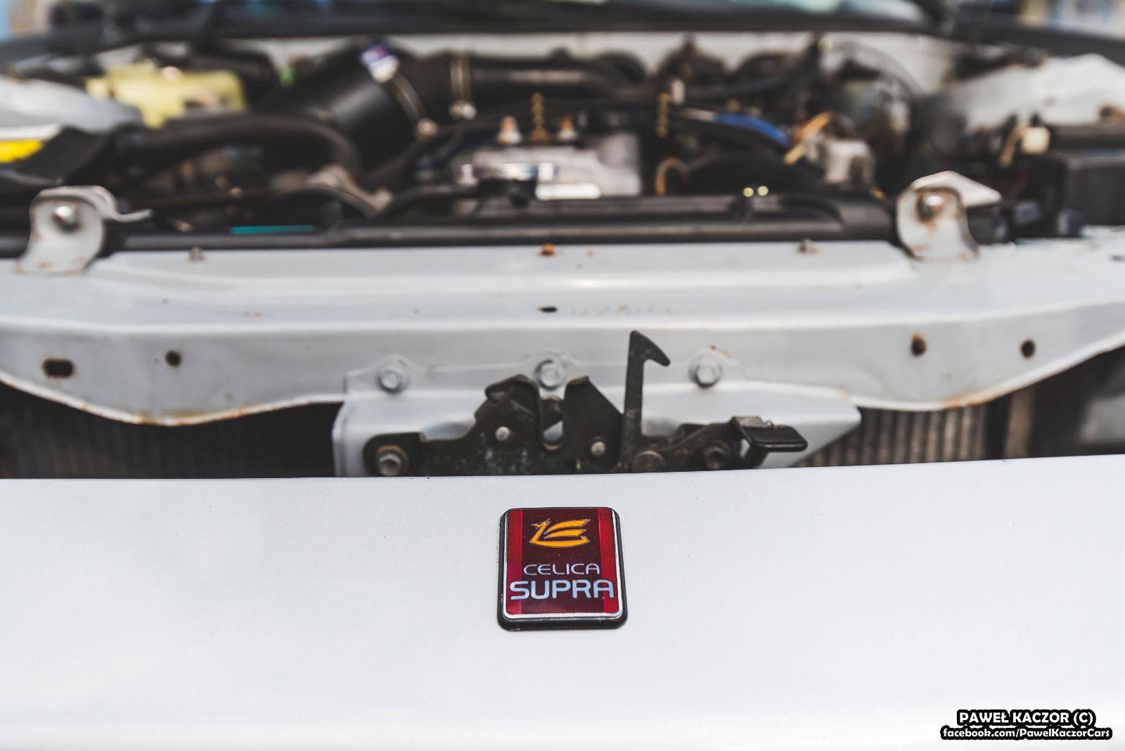 WhatsApp Image 2021-04-14 at 16.00.56