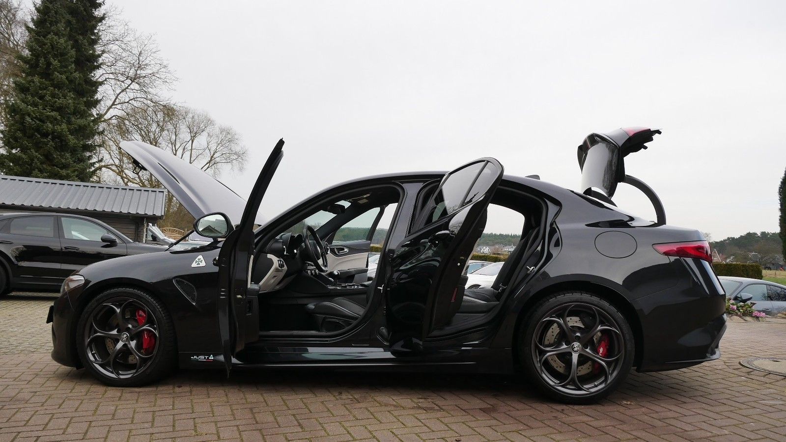 62f23b36803769.58055962