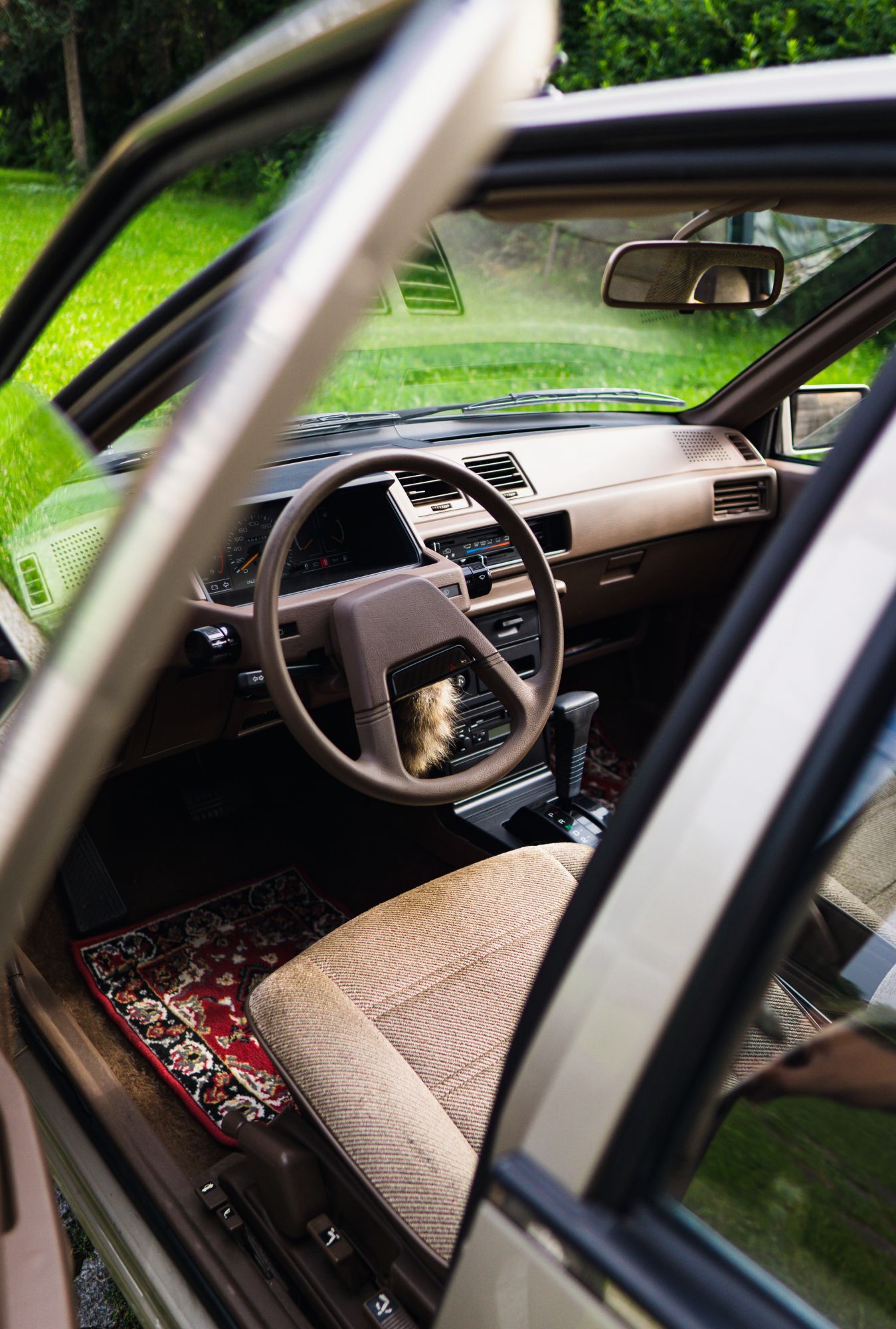 8F4D077A-BE6E-4CA2-833F-5542DE0ED7DC