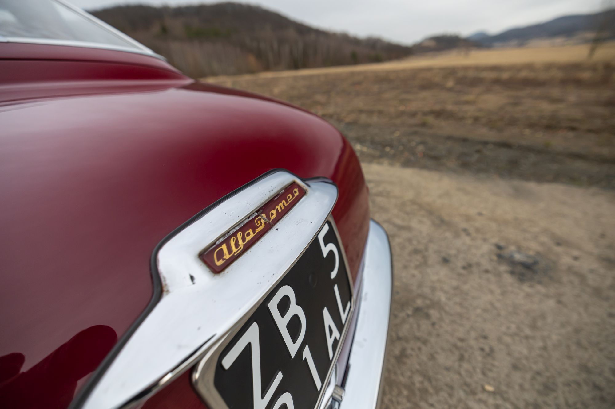 Alfa Romeo 1900C_25.JPG