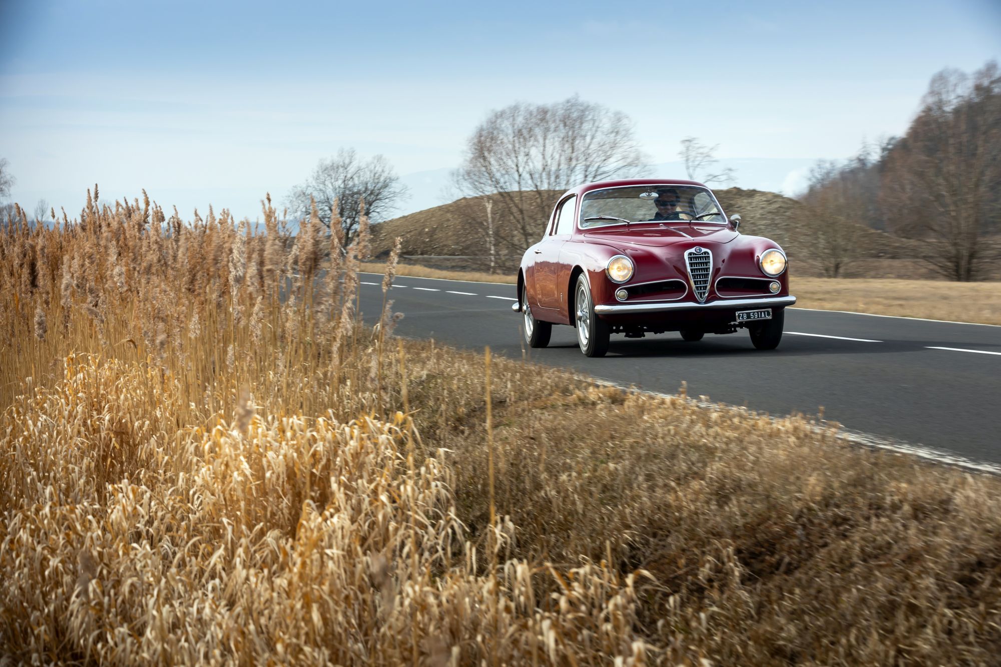 Alfa Romeo 1900C_73.JPG