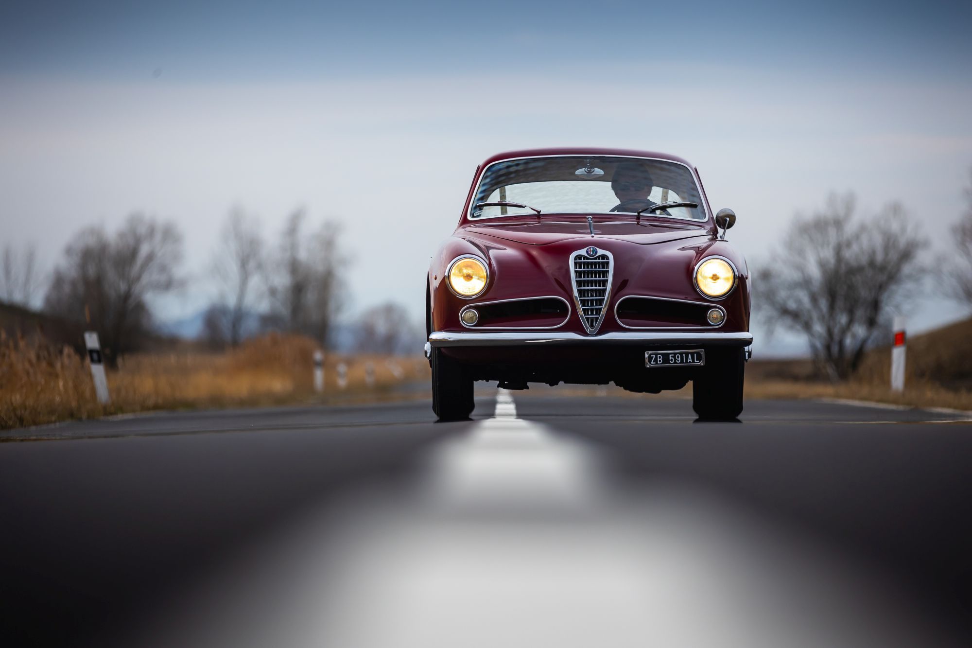 Alfa Romeo 1900C_81.JPG