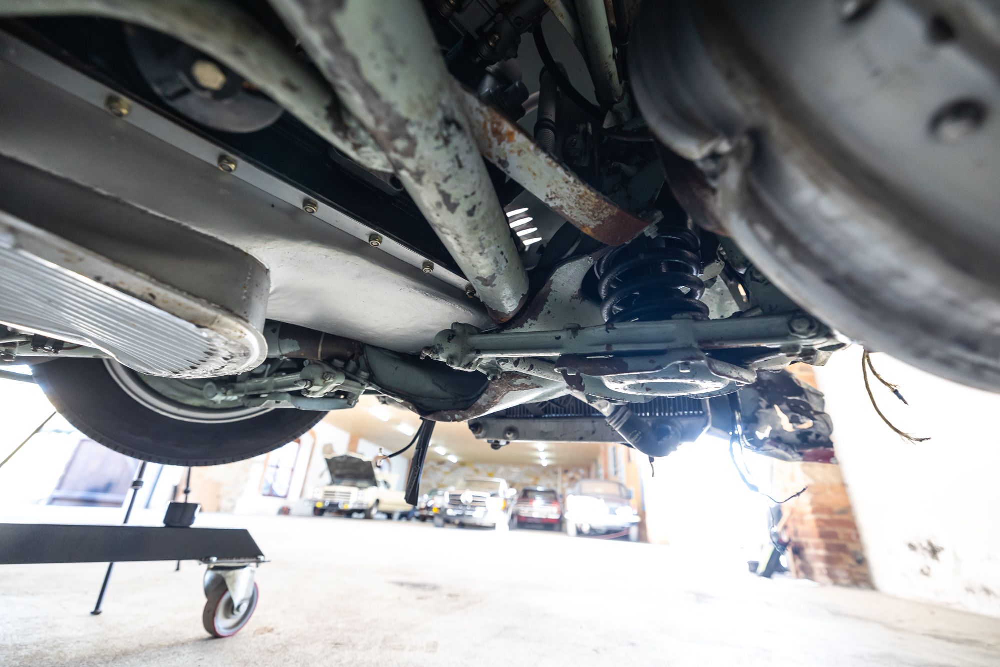 Alfa Romeo 1900SS_39.JPG