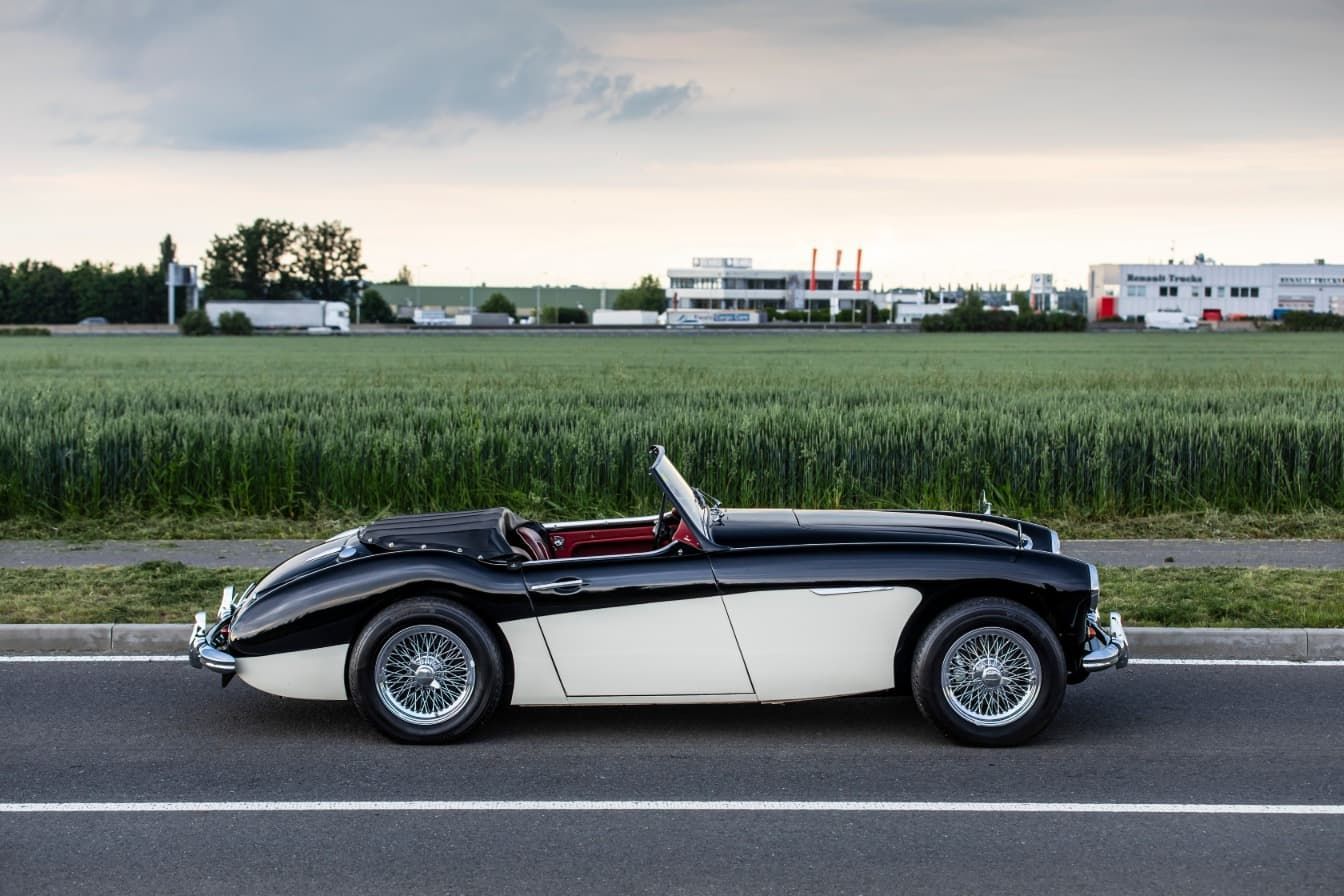 austin-healey-3000-jirka-herian-102.jpg