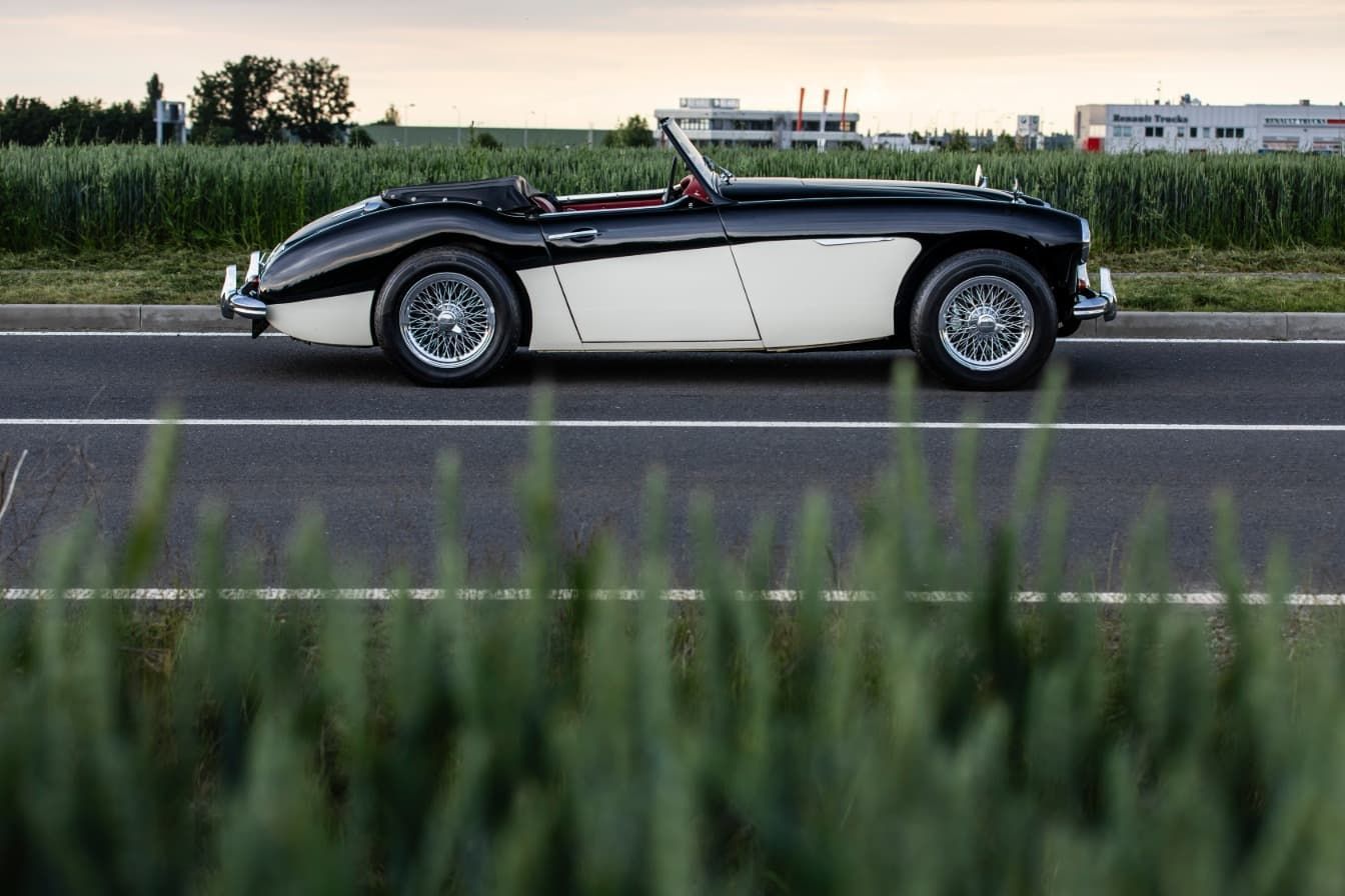 austin-healey-3000-jirka-herian-104.jpg