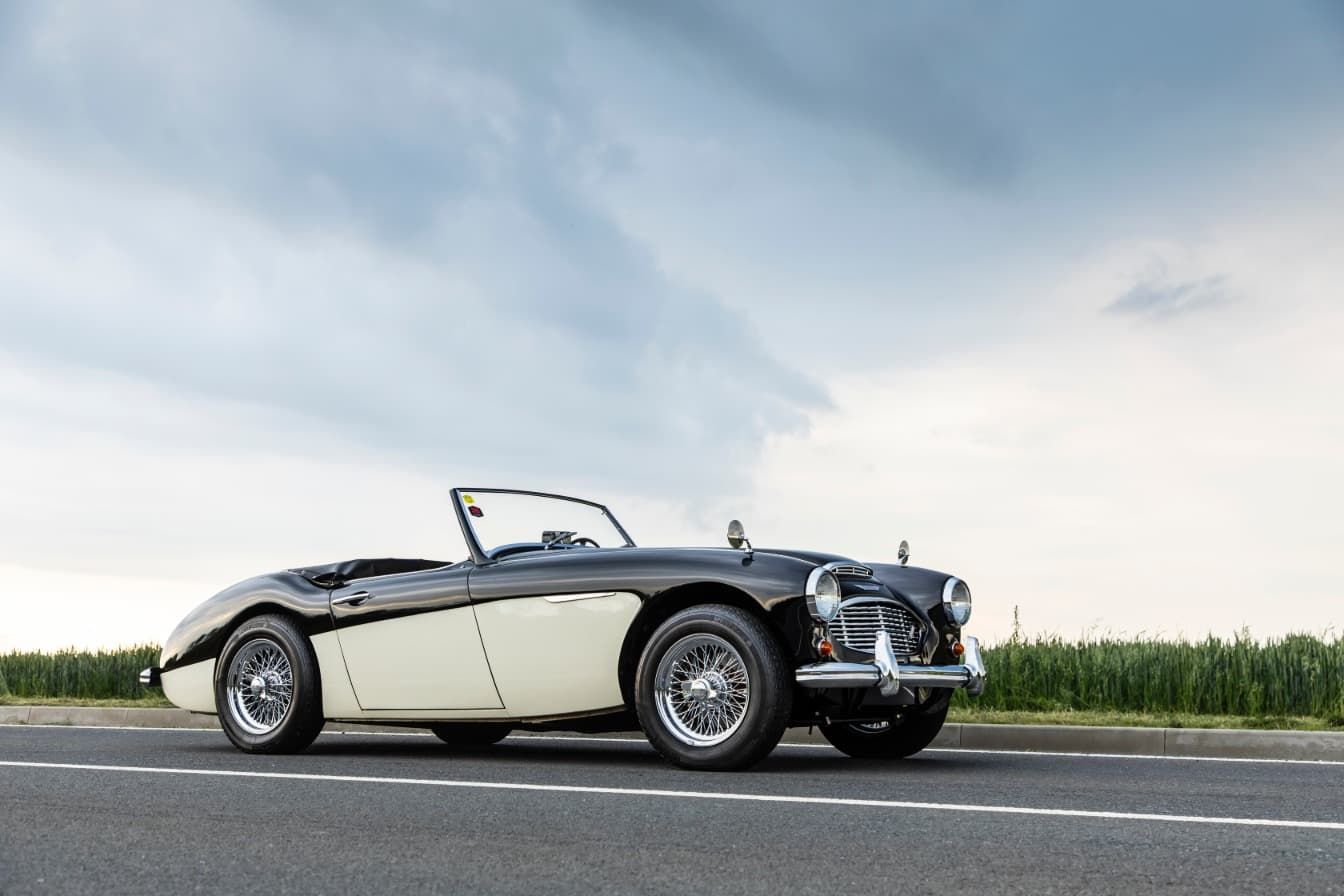 austin-healey-3000-jirka-herian-105.jpg