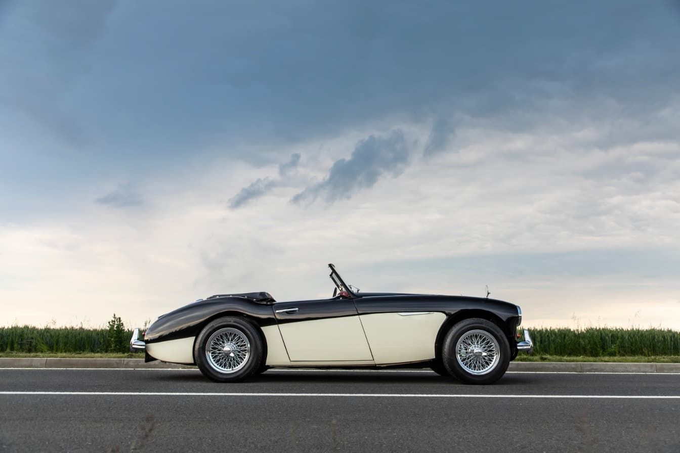 austin-healey-3000-jirka-herian-107.jpg