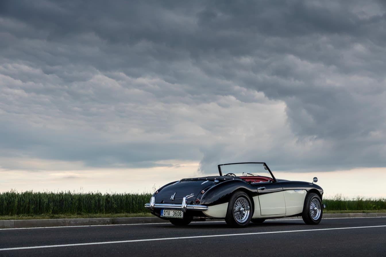 austin-healey-3000-jirka-herian-109.jpg
