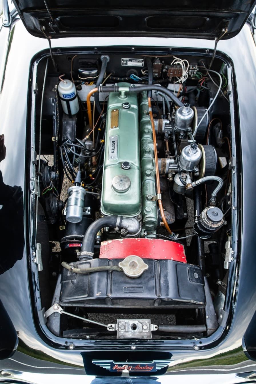 austin-healey-3000-jirka-herian-111.jpg