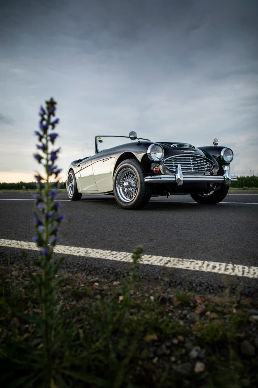 austin-healey-3000-jirka-herian-117.jpg