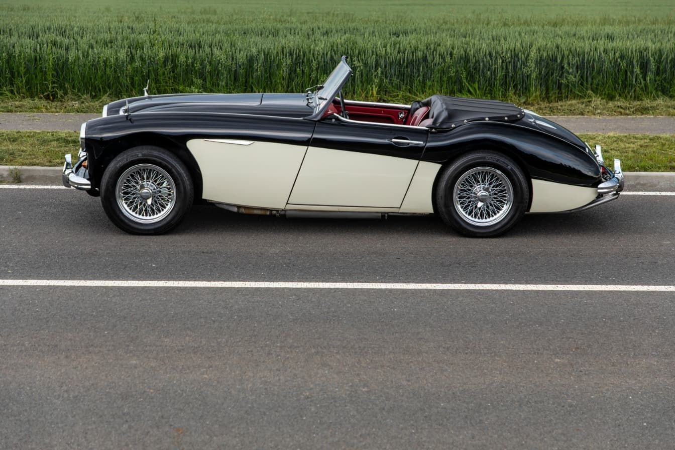 austin-healey-3000-jirka-herian-2.jpg