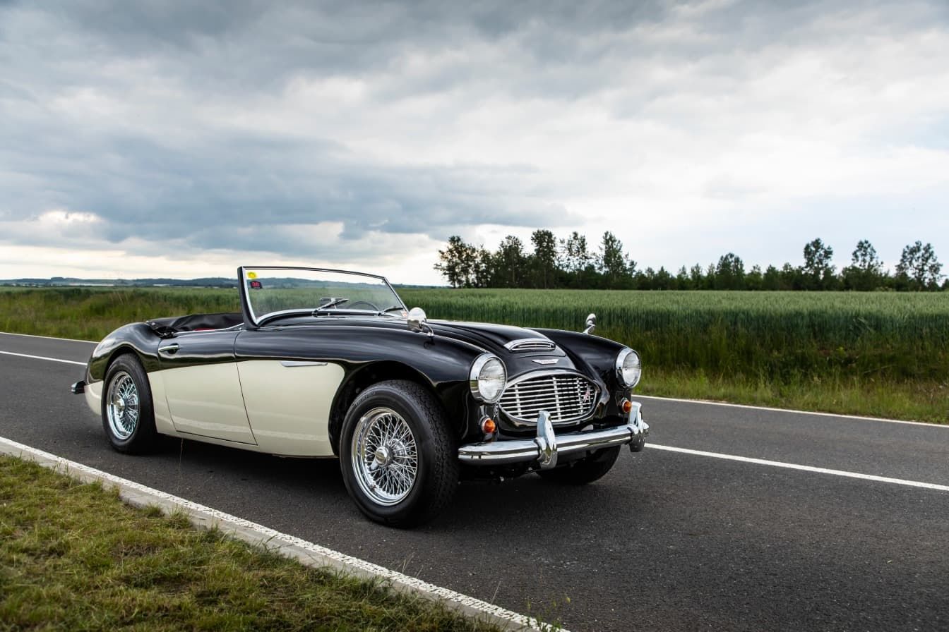 austin-healey-3000-jirka-herian-50.jpg