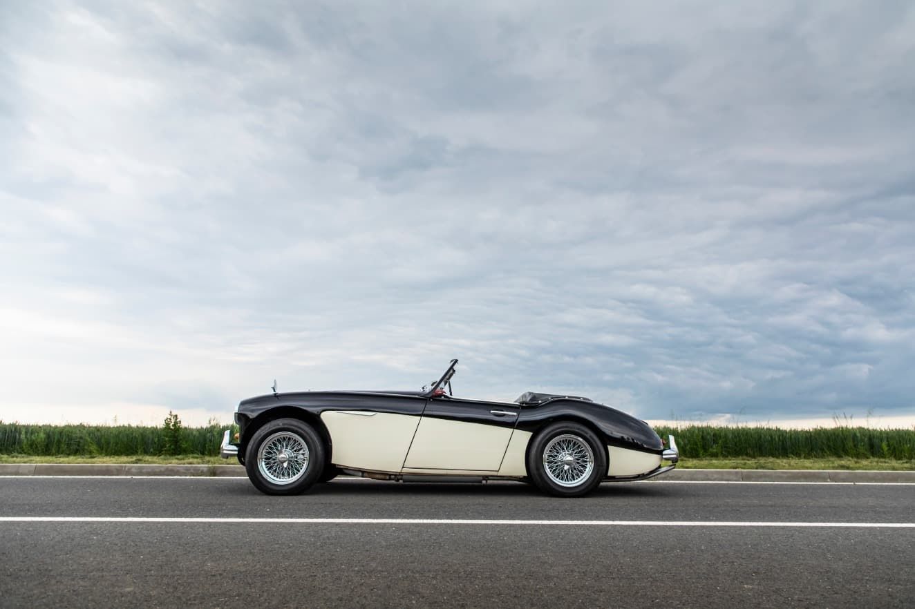 austin-healey-3000-jirka-herian-54.jpg