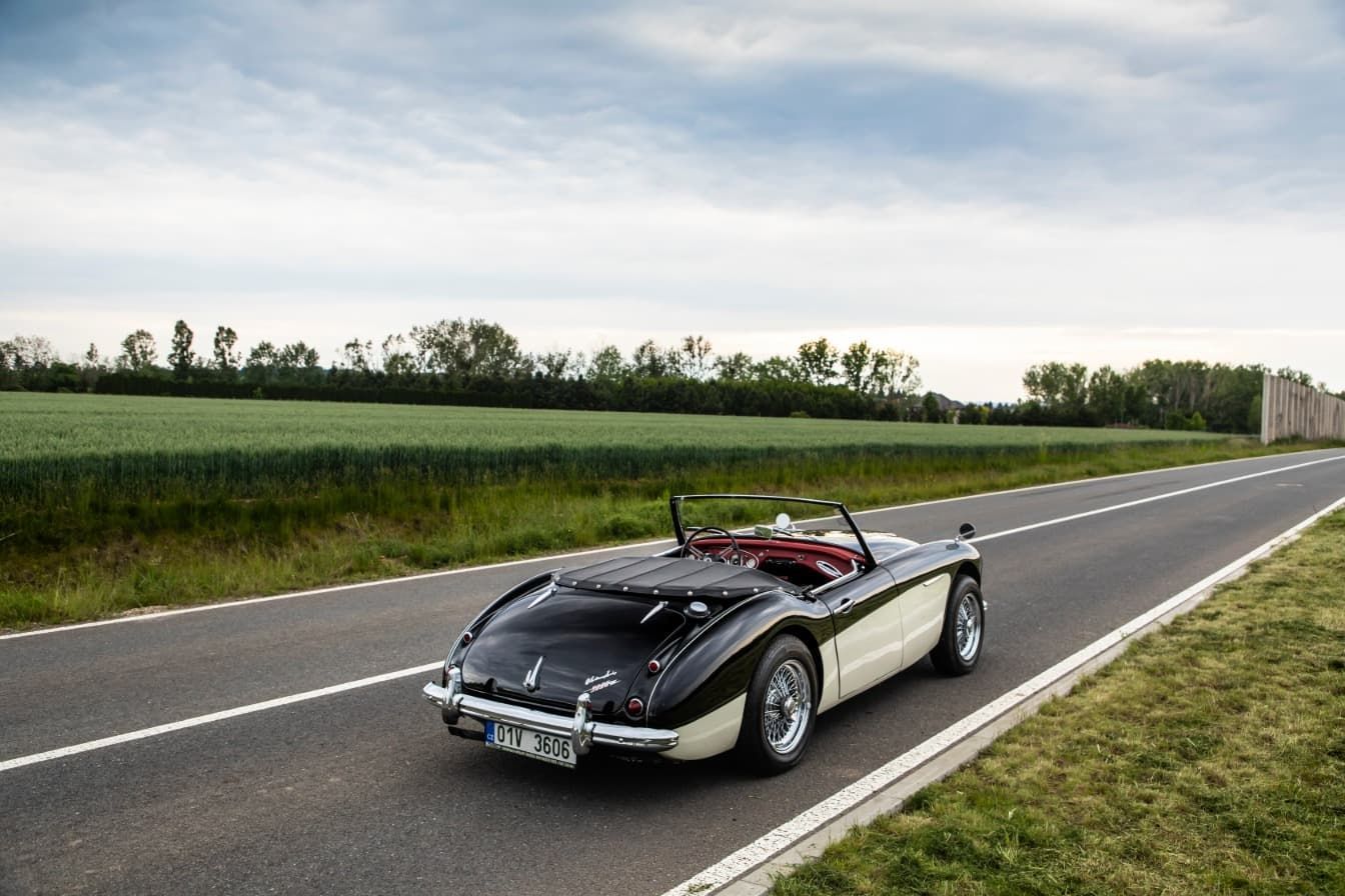 austin-healey-3000-jirka-herian-57.jpg