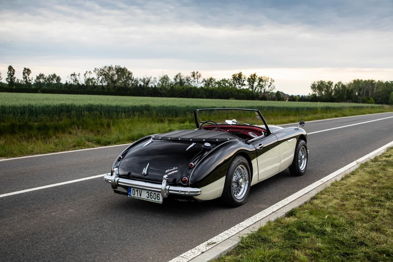 austin-healey-3000-jirka-herian-59.jpg
