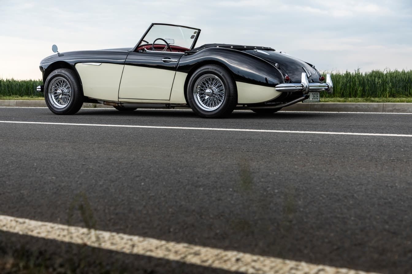 austin-healey-3000-jirka-herian-8.jpg
