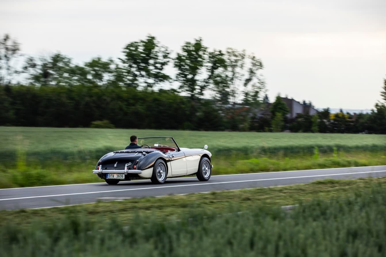 austin-healey-3000-jirka-herian-82.jpg