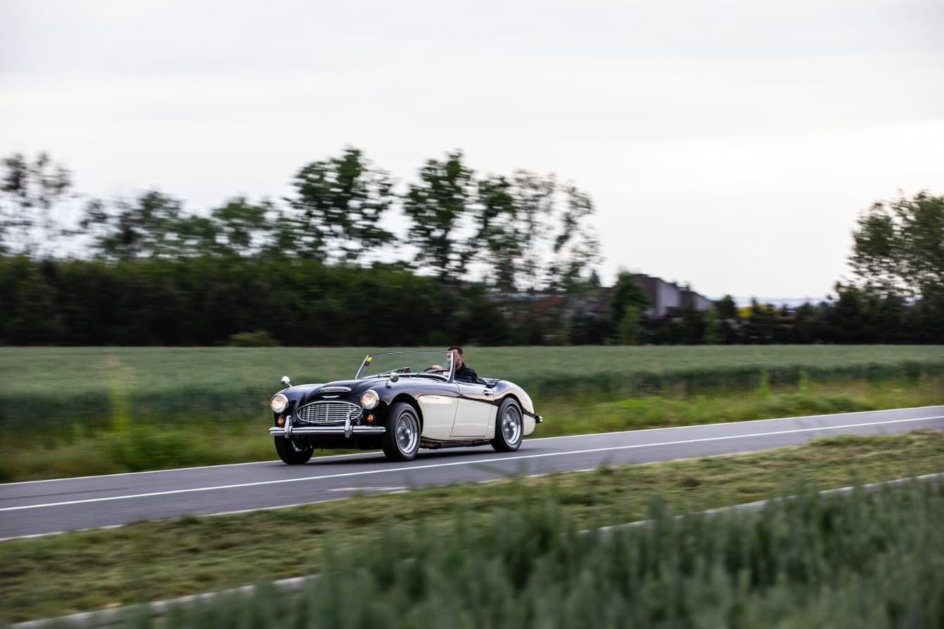 austin-healey-3000-jirka-herian-84.jpg