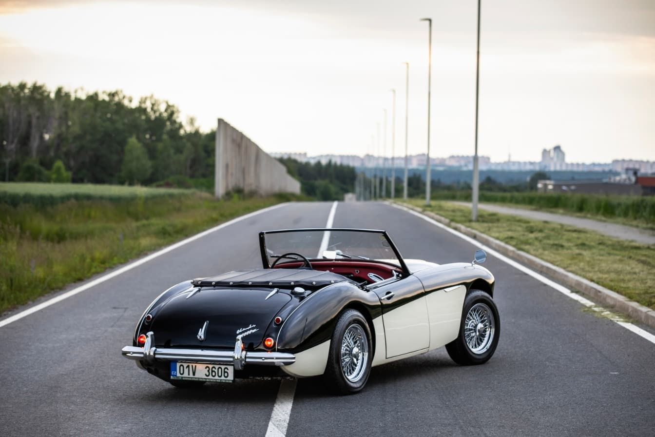 austin-healey-3000-jirka-herian-94.jpg