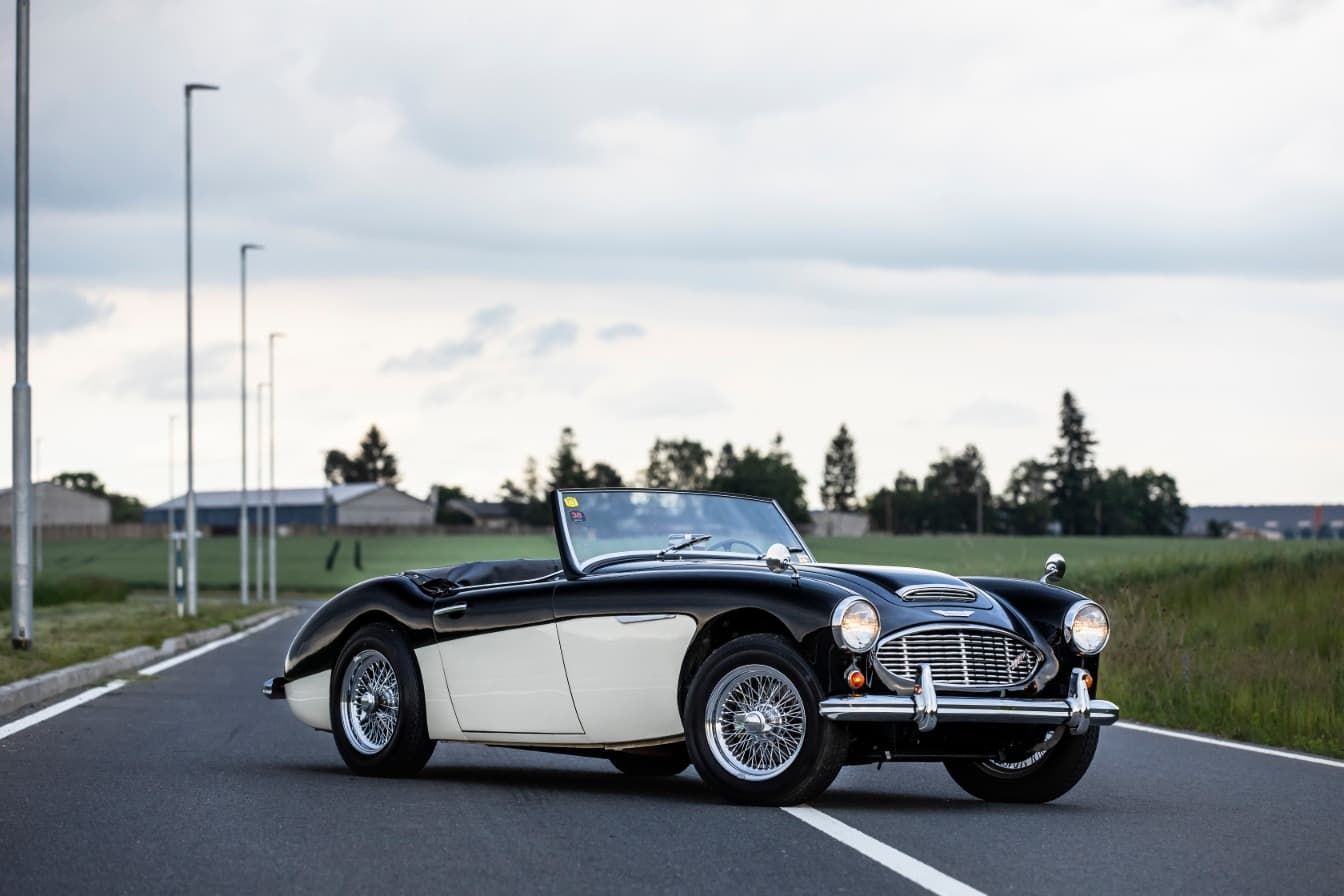 austin-healey-3000-jirka-herian-96.jpg