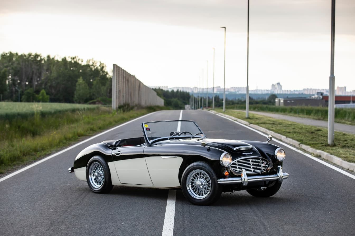 austin-healey-3000-jirka-herian-98.jpg