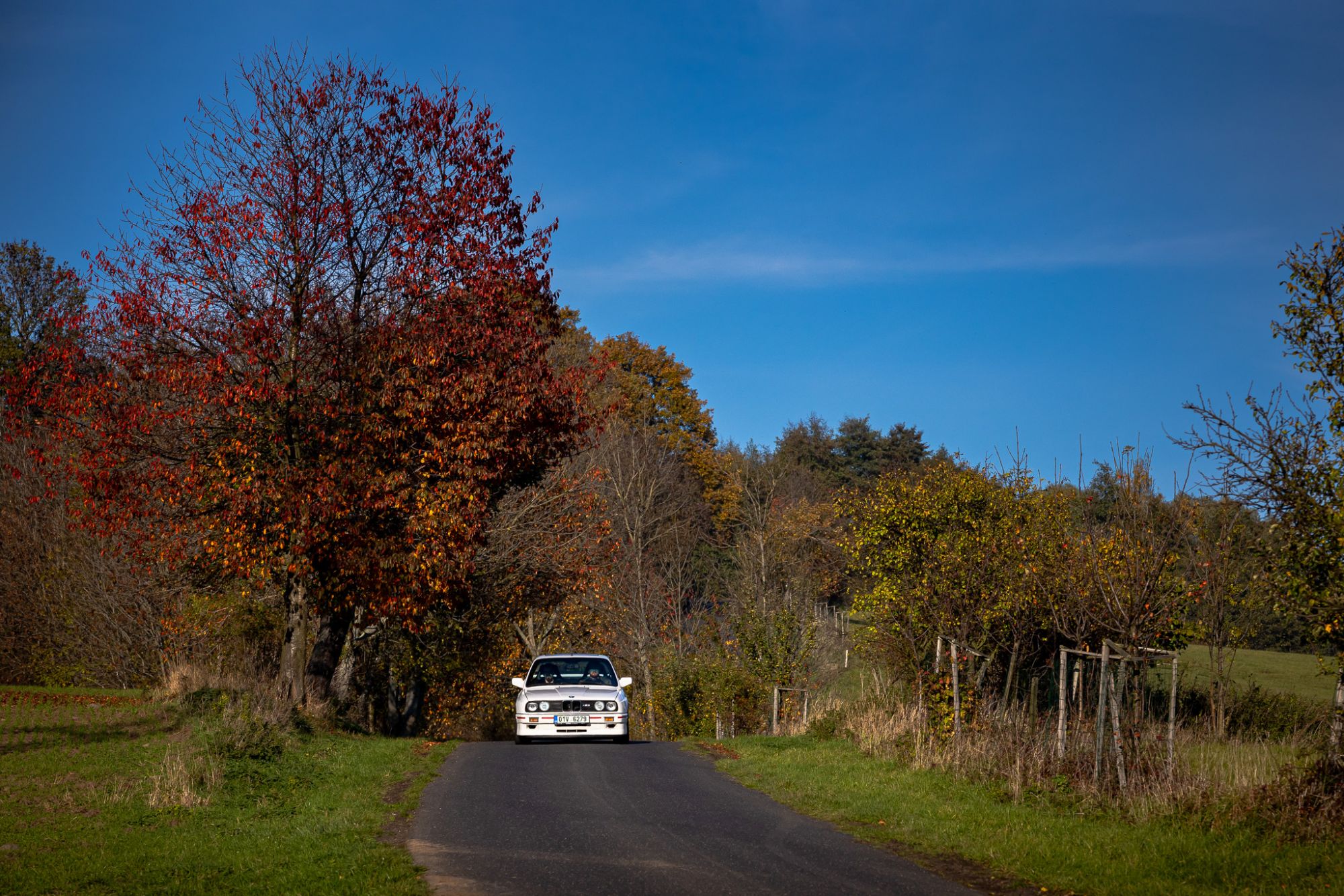 BMW e30 M3 (lightroom)-19
