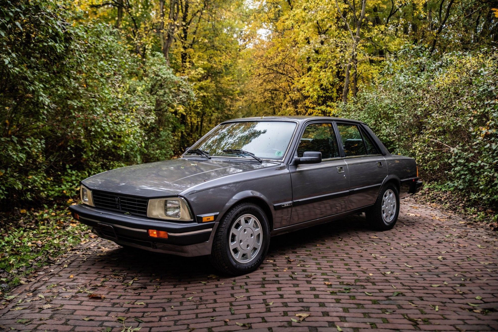 1988 Peugeot 505 V6