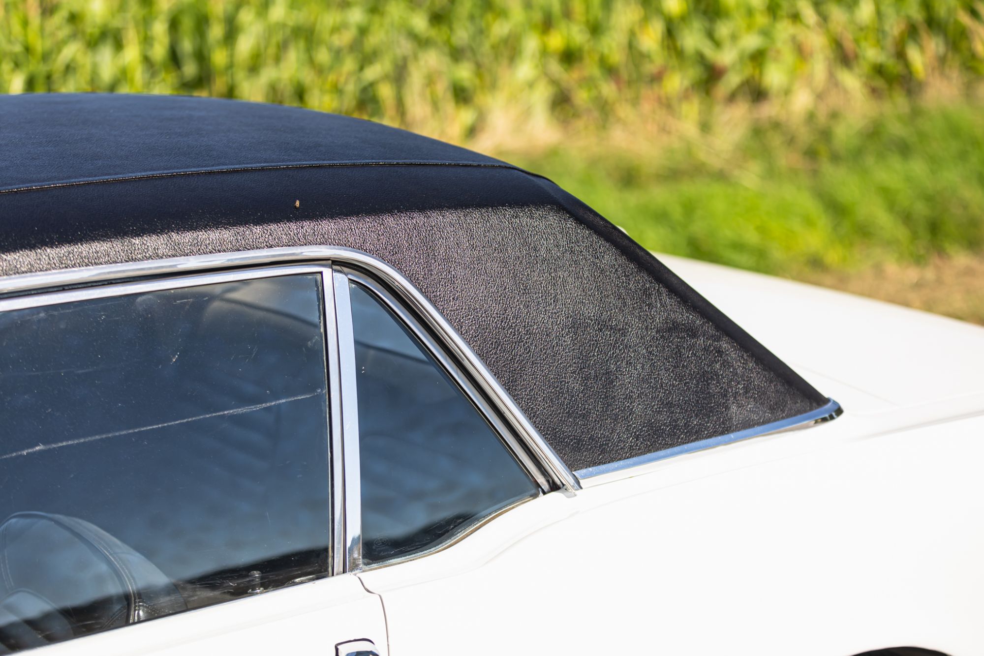 Ford Mustang _12.JPG