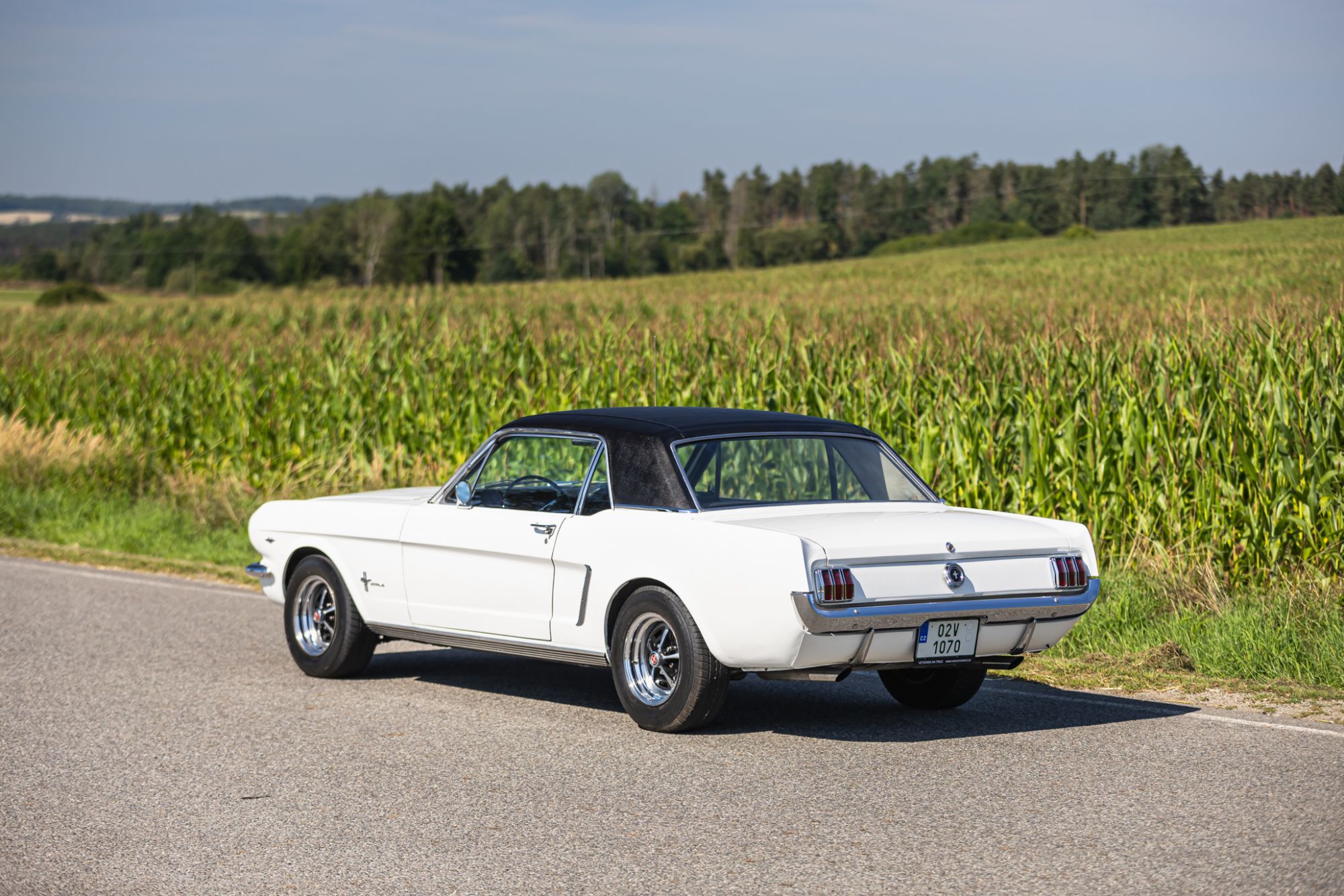 Ford Mustang _20.JPG