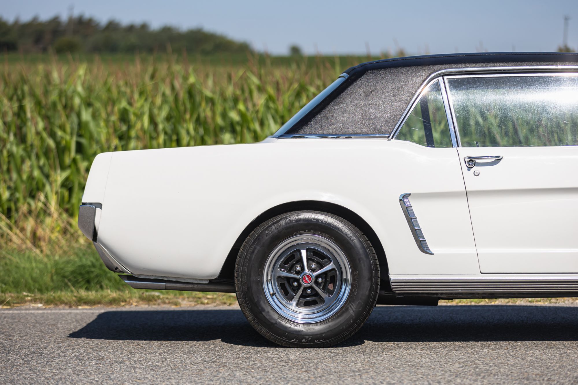 Ford Mustang _22.JPG