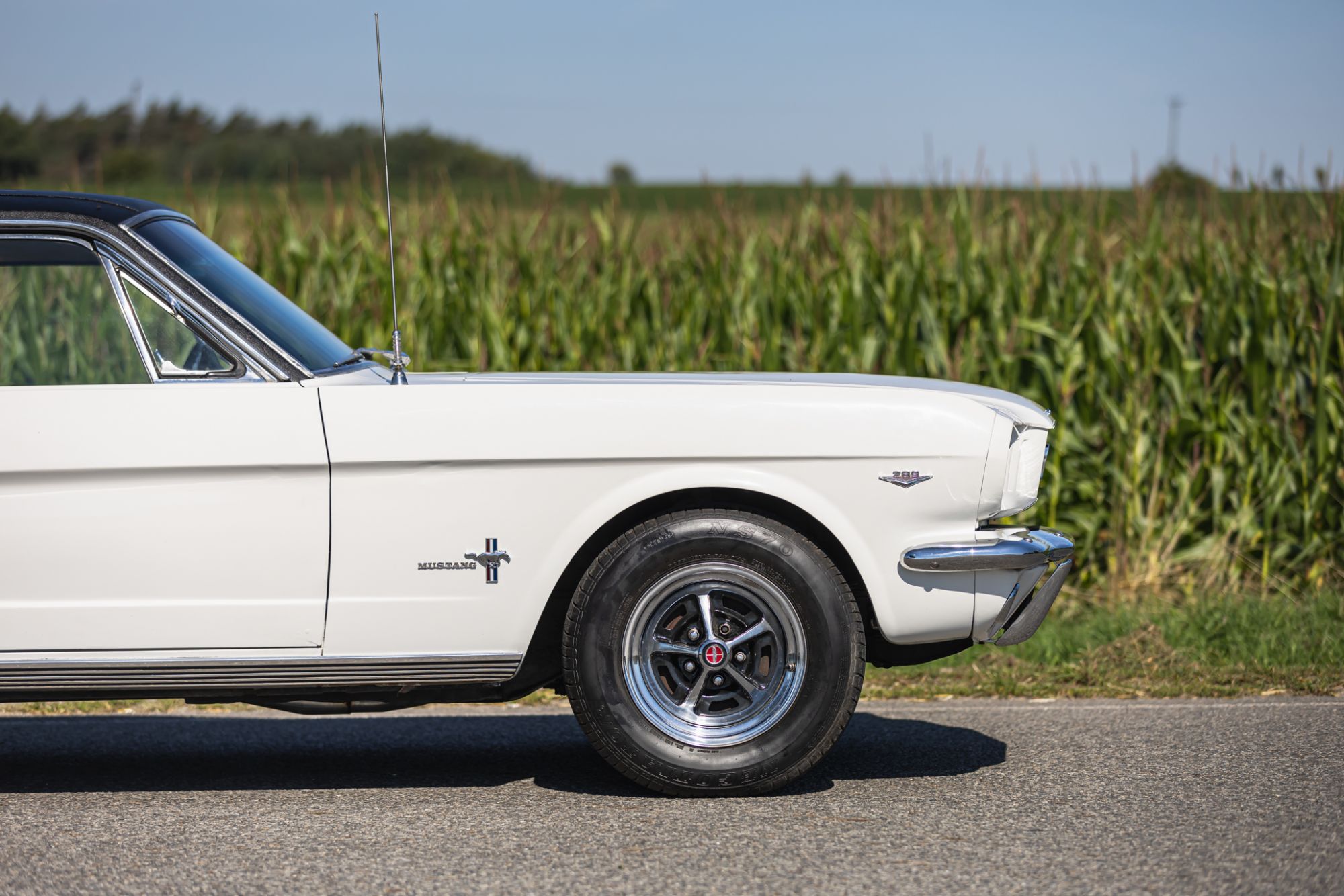 Ford Mustang _24.JPG