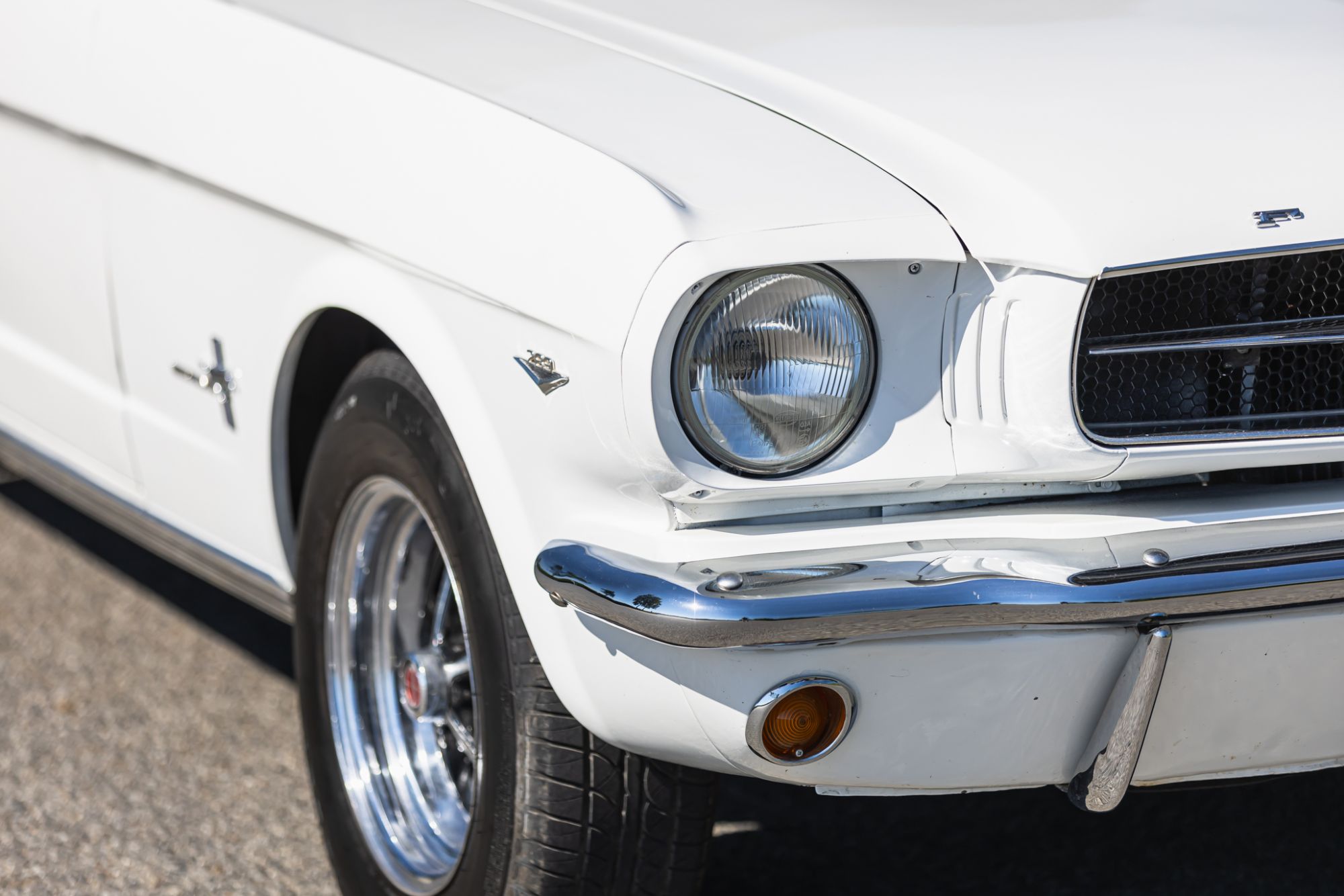 Ford Mustang _28.JPG