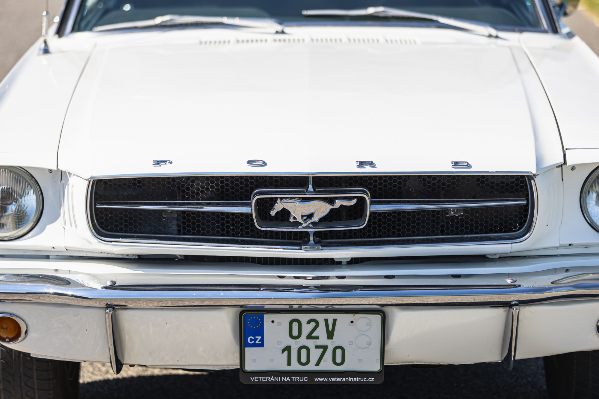 Ford Mustang _29.JPG