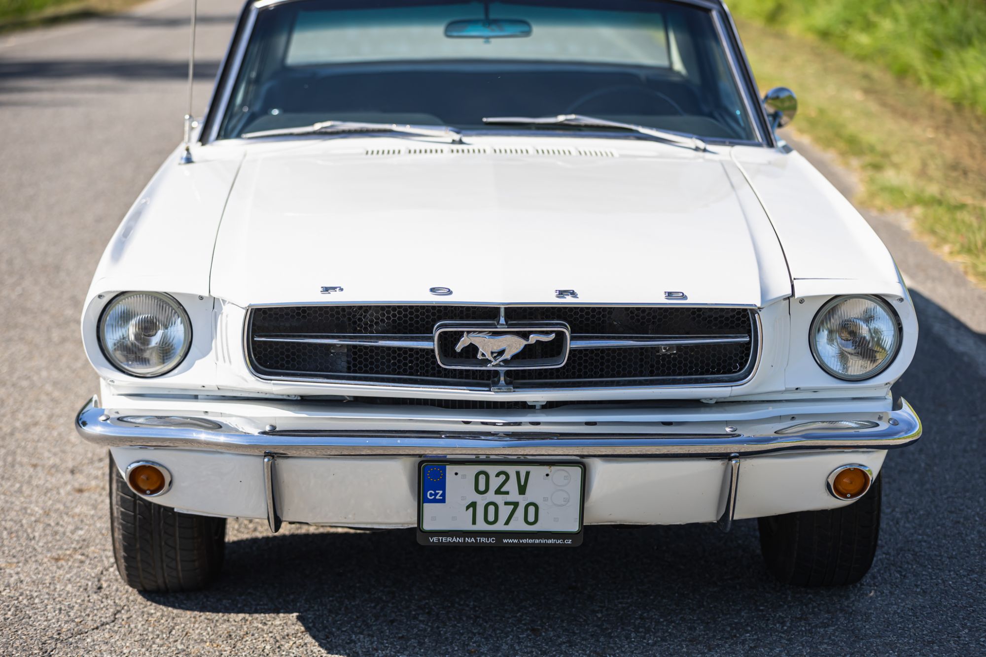 Ford Mustang _30.JPG