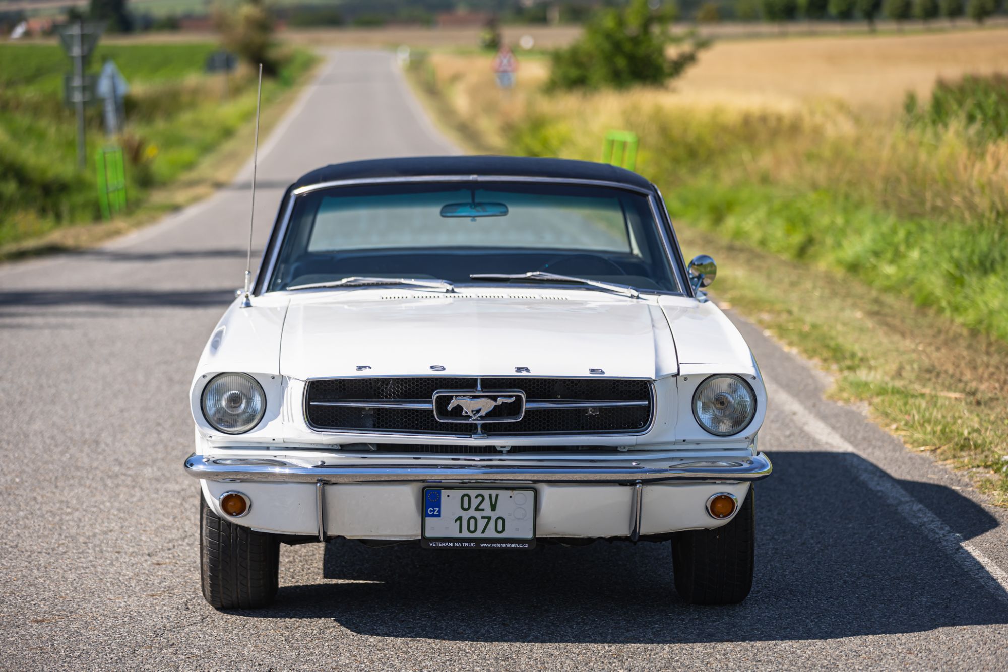 Ford Mustang _31.JPG