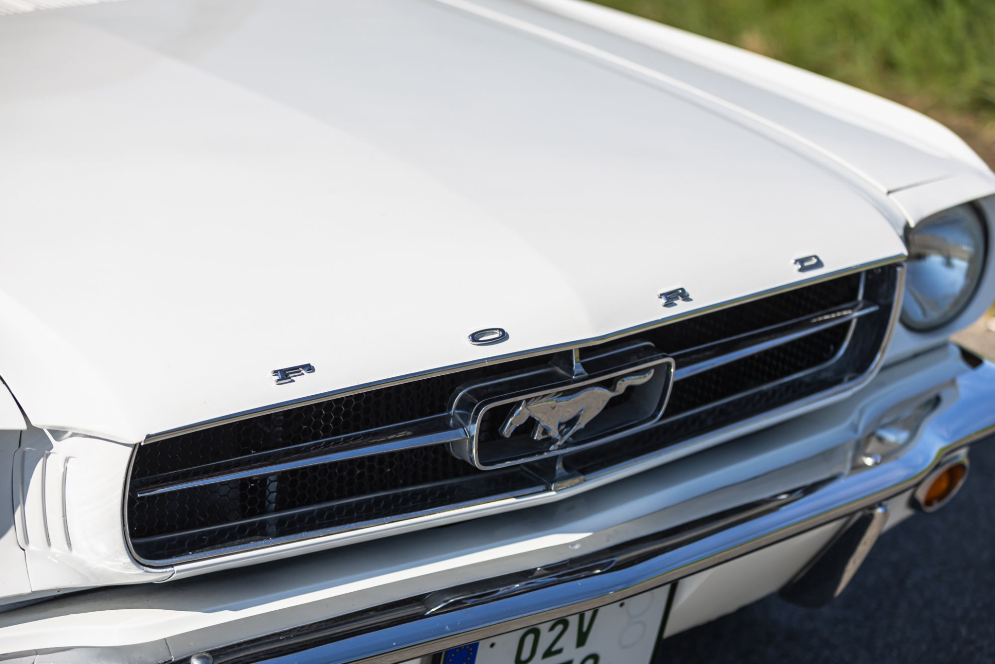 Ford Mustang _32.JPG